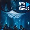 Image 1 : Big Island Manta Ray Night Snorkel for Two, All Gear Included