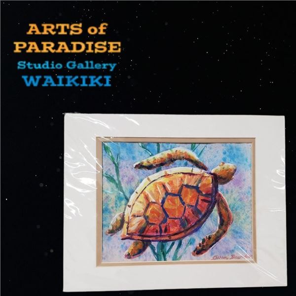 Turtle Watercolor & Private Art Lesson Package