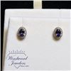 Image 1 : 14 Karat White Gold Tanzanite & Diamond Earrings