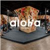 Image 1 : 6-Pass Climbing Bundle & Climbing 101 Class for 2