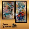 Image 1 : "Tropical Dreaming" 20" x 13"  &  "Poppy Burst" 24" x 12"  Canvas