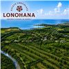 Image 1 : Tour & Tasting for Two at Lonohana