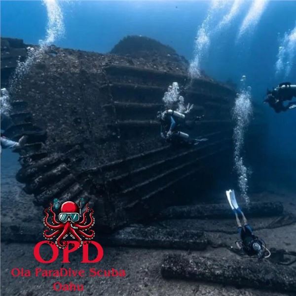 Gift Certificate for Scuba Diving in Waikiki, Oʻahu