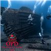 Image 1 : Gift Certificate for Scuba Diving in Waikiki, Oʻahu