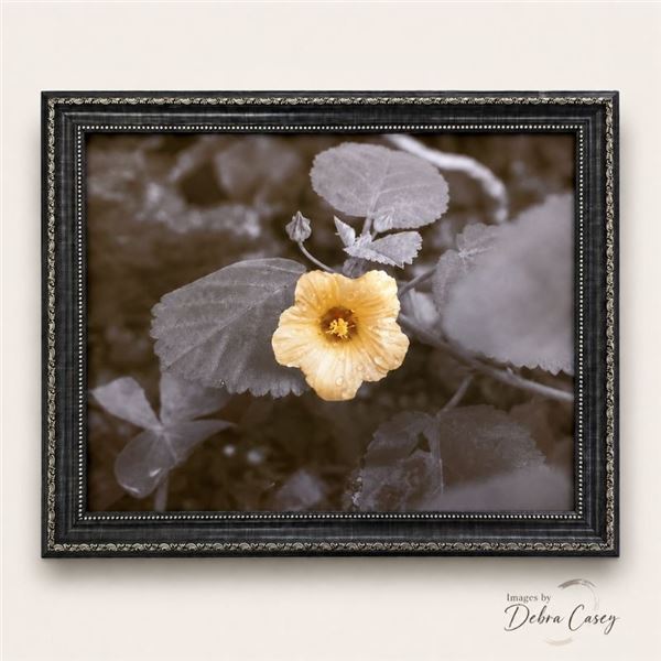 Ilima Metal Print 11" x 14"