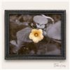 Image 1 : Ilima Metal Print 11" x 14"