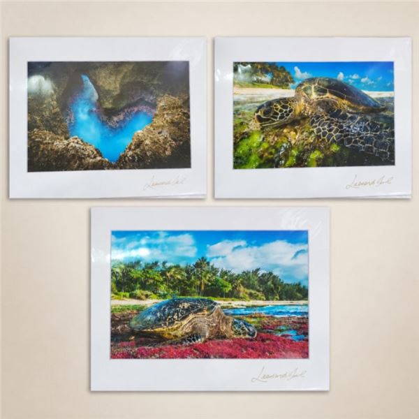Island Honu and Sacred Shoreline 12" x 8" Art Collection