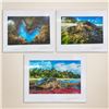 Image 1 : Island Honu and Sacred Shoreline 12" x 8" Art Collection