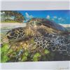 Image 3 : Island Honu and Sacred Shoreline 12" x 8" Art Collection