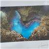 Image 4 : Island Honu and Sacred Shoreline 12" x 8" Art Collection