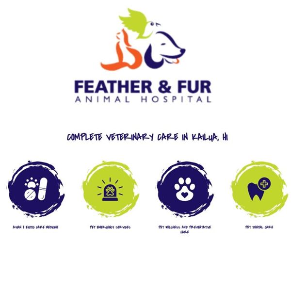 Feather & Fur Animal Hospital $100 Gift Card