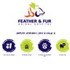 Image 1 : Feather & Fur Animal Hospital $100 Gift Card