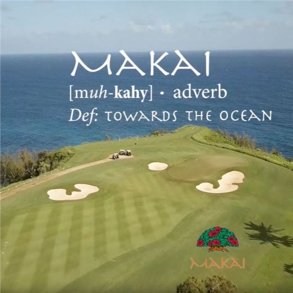 Foursome at Princeville Makai Golf Club, Kauai
