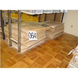 NEGATIVES & SCREENS (X1)