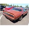 Image 3 : 1980 Pontiac Firebird