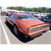 Image 4 : 1980 Pontiac Firebird