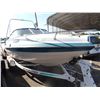 Image 2 : 1994 Chapparral Boat