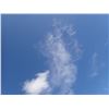 Image 1 : Empty Lot