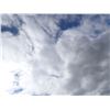 Image 2 : Empty Lot