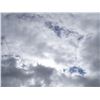 Image 1 : Empty Lot