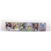 Image 1 : CHINESE POKEMON CARD COLLECTION IN CLEAR SLEEVES