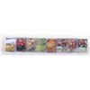 Image 1 : CHINESE POKEMON CARD COLLECTION IN CLEAR SLEEVES