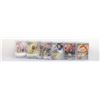Image 1 : CHINESE POKEMON CARD COLLECTION IN CLEAR SLEEVES