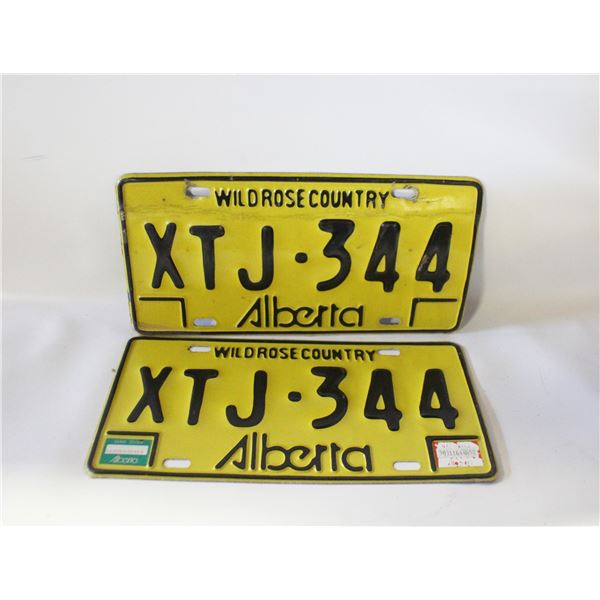 1984 ALBERTA WILD ROSE COUNTRY MATCHING LICENSE