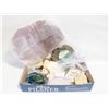 Image 1 : BOX OF SEA SHELLS & OCEAN-THEMED