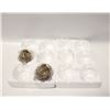 Image 1 : 12PC 3.15" HANGING GLASS TERRARIUM GLOBE
