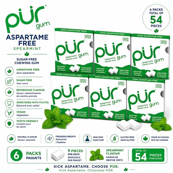 6 PUR SPEARMINT ASPARTAME FREE 9 PIECES PACK