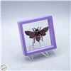 Image 1 : NEW BEE BROOCH MULTI COLOR RHINESTONE