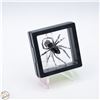 Image 1 : NEW SPIDER BROOCH WITH BLACK CRYSTAL