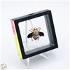 Image 1 : NEW BEE-SHAPE BROOCH BLACK, ENAMEL