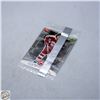 Image 1 : SEAL GRETZKY UD POST SILVER SEAL GREYHOUNDS