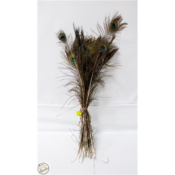 GENUINE PEACOCK FEATHERS (FOR CRAFTING/