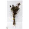 Image 1 : GENUINE PEACOCK FEATHERS (FOR CRAFTING/