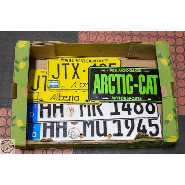 5 LICENCE PLATES 2 FROM EUROPE