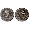 Image 1 : ROMAN REPUBLIC: M. Sergius Silus, AR denarius (3.73g), Rome, 116-115 BC, F-VF