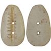 Image 1 : ANCIENT CHINA: SHANG: stone cowrie (5.05g), ca. 14th-9th century BC, XF