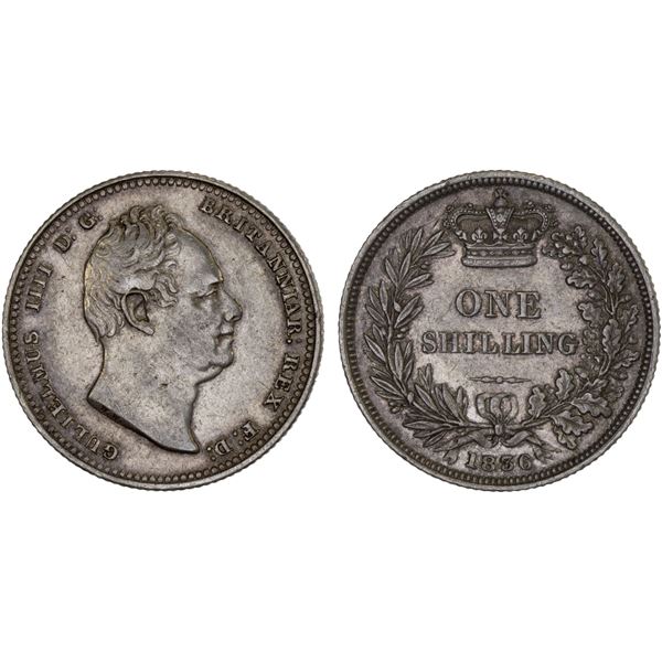 GREAT BRITAIN: William IV, 1830-1837, AR shilling, 1836, XF