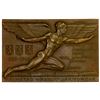 Image 1 : SWEDEN: AE plaque (95.27g), 1945, Unc