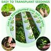Image 9 : 107pcs Garden Seed Pod Kit - Hydroponics Growing System Kit - New