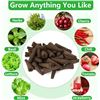 Image 4 : 107pcs Garden Seed Pod Kit - Hydroponics Growing System Kit - New