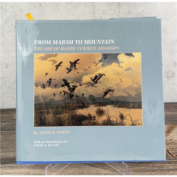From Marsh to Mountain