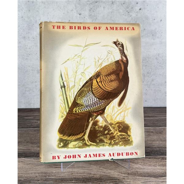 The Birds of America