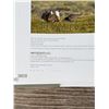 Image 6 : Game Birds