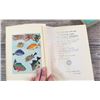 Image 5 : Strange Fish and Strange Birds and Their Stories