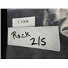 Image 8 : Tri-Tronics Bark Limiter G3 Dog Training Collars