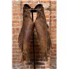 Image 1 : Montana Fringe Cowboy Chinks Chaps